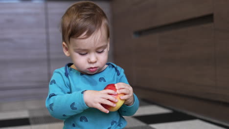 beautiful caucasian baby boy in blue shirt holding a big red apple. toddler looks at fruit with attention and then up. blurred backdrop.
