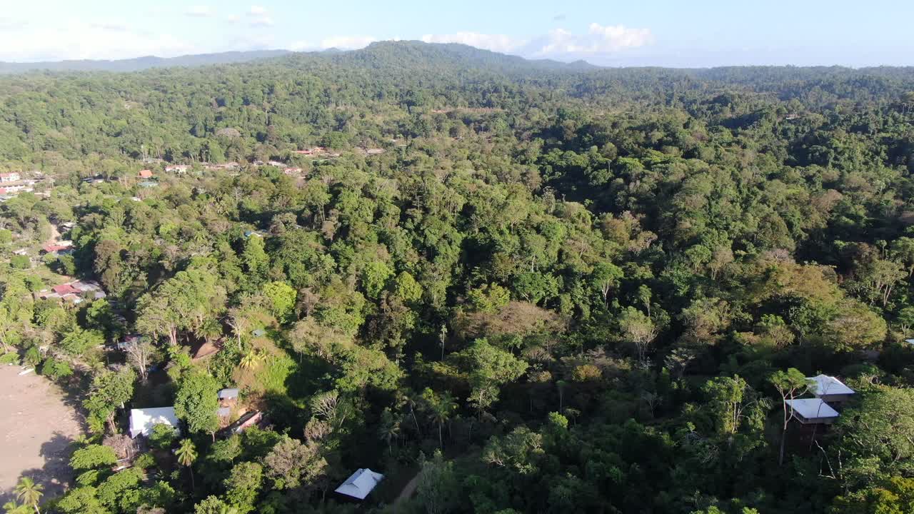 vista de drones de la playa de costa rica volando sobre un bosque verde lleno de árboles en un día soleado junto a la costa del pacífico