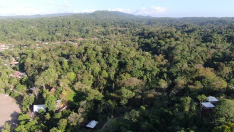 Drohnenansicht-Des-Strandes-Von-Costa-Rica,-Die-An-Einem-Sonnigen-Tag-Neben-Der-Pazifikküste-über-Einen-Grünen-Wald-Voller-Bäume-Fliegt