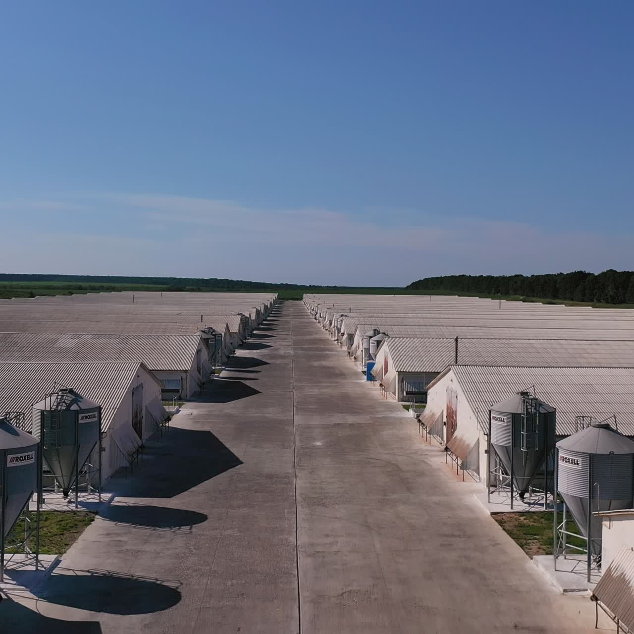Large silver granary. Modern grain elevators. Metal industrial silos for agribusiness