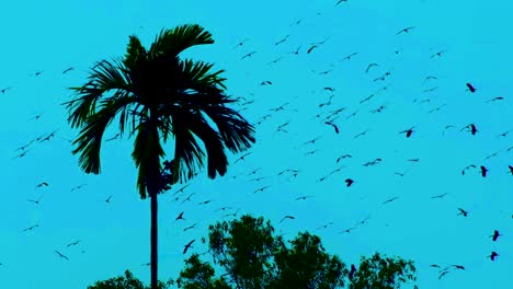 flock of migratory birds flying around palm tree in the forest at dusk