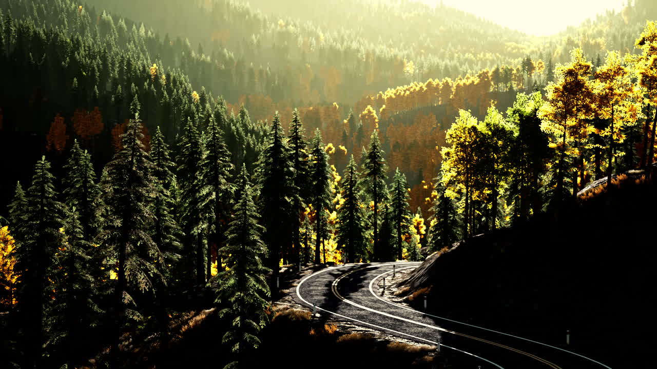 가을 에 숲 을 가로질러 휘어지는 길