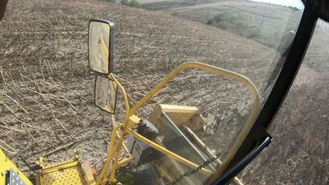 cosecha de girasol desde el interior de una cosechadora, tiro a bordo