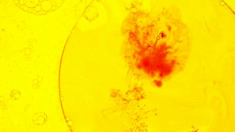 colorful oil drops floating on water surface, top view. fantastic abstract background. bright bubbles moving and spreading. close up 4k video of weird liquid structures. scientific chemical experiment