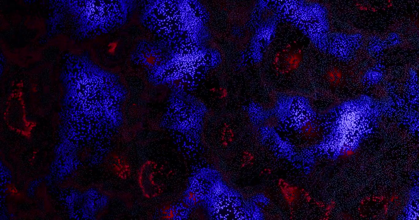 Abstract Glowing Blue and Red Particle Wave Field Background