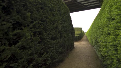 quick movement backwards in green maze located in london horror scene scary dramatic following path nobody around cloudy moody weather reveal of bridge above the maze