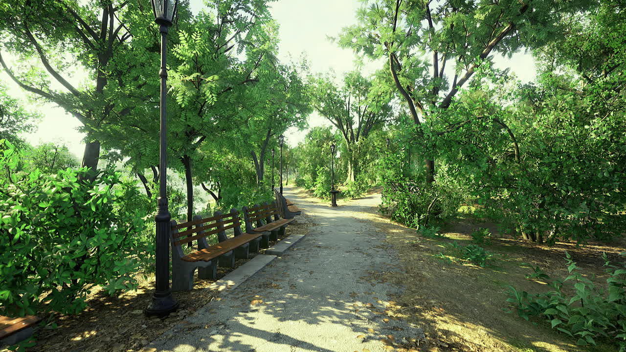 Serene park pathway with benches surrounded by lush greenery in daylight