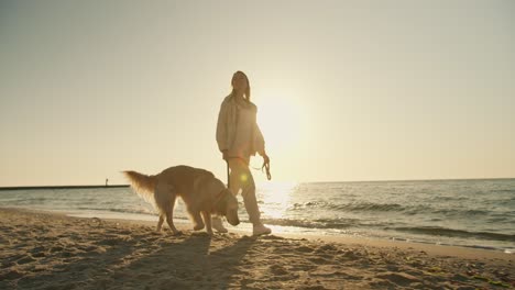 a blonde girl walks along with a light coloring big dog on a sunny beach in the morning