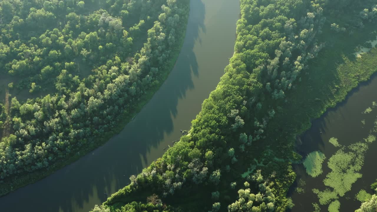 воздушный вид извилистой реки в лесу