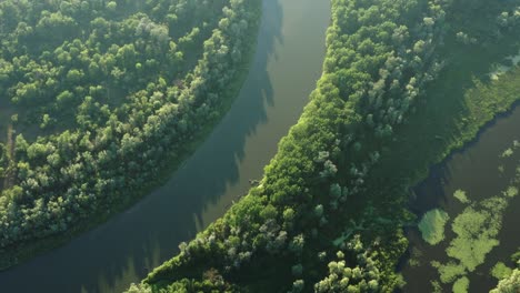 aerial view of winding river in forest