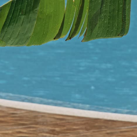 banana leaf over a swimming pool