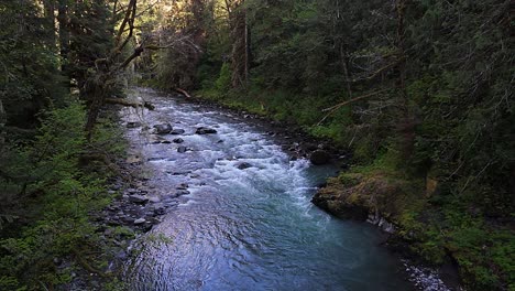 naturaleza escénica estacionaria tomada por encima de un río que fluye a través de un exuberante bosque de hoja perenne en carbonado, estado de washington