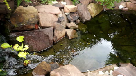 Slow-Motion-Fockschwenks-Vom-Wasserfall-Bis-Zum-Hochwinkelblick-über-Den-Teich-Mit-Koi