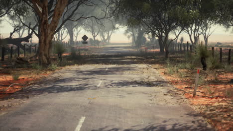 un idílico camino de campo alineado con árboles y una valla rústica