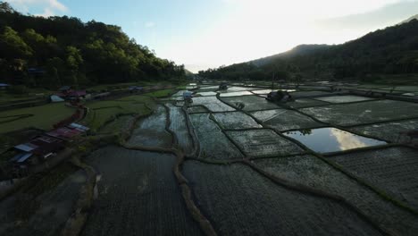 Toma-Cinematográfica-De-Un-Dron-Sobrevolando-Extensos-Campos-De-Arroz-En-Indonesia-Con-Un-Destello-De-Puesta-De-Sol