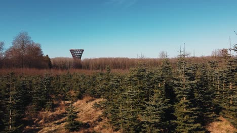 Drohnenaufstieg-Im-Waldbedeckungsgebiet-Der-Baumwipfelerfahrung-In-Dänemark