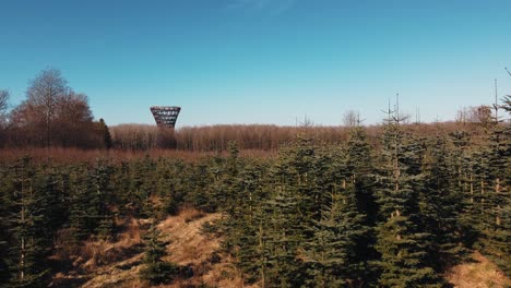 drone levantando en el área de la cubierta forestal de tree top experience en dinamarca