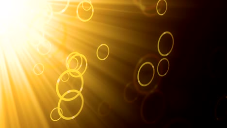 los rayos de luz cálidos que florecen