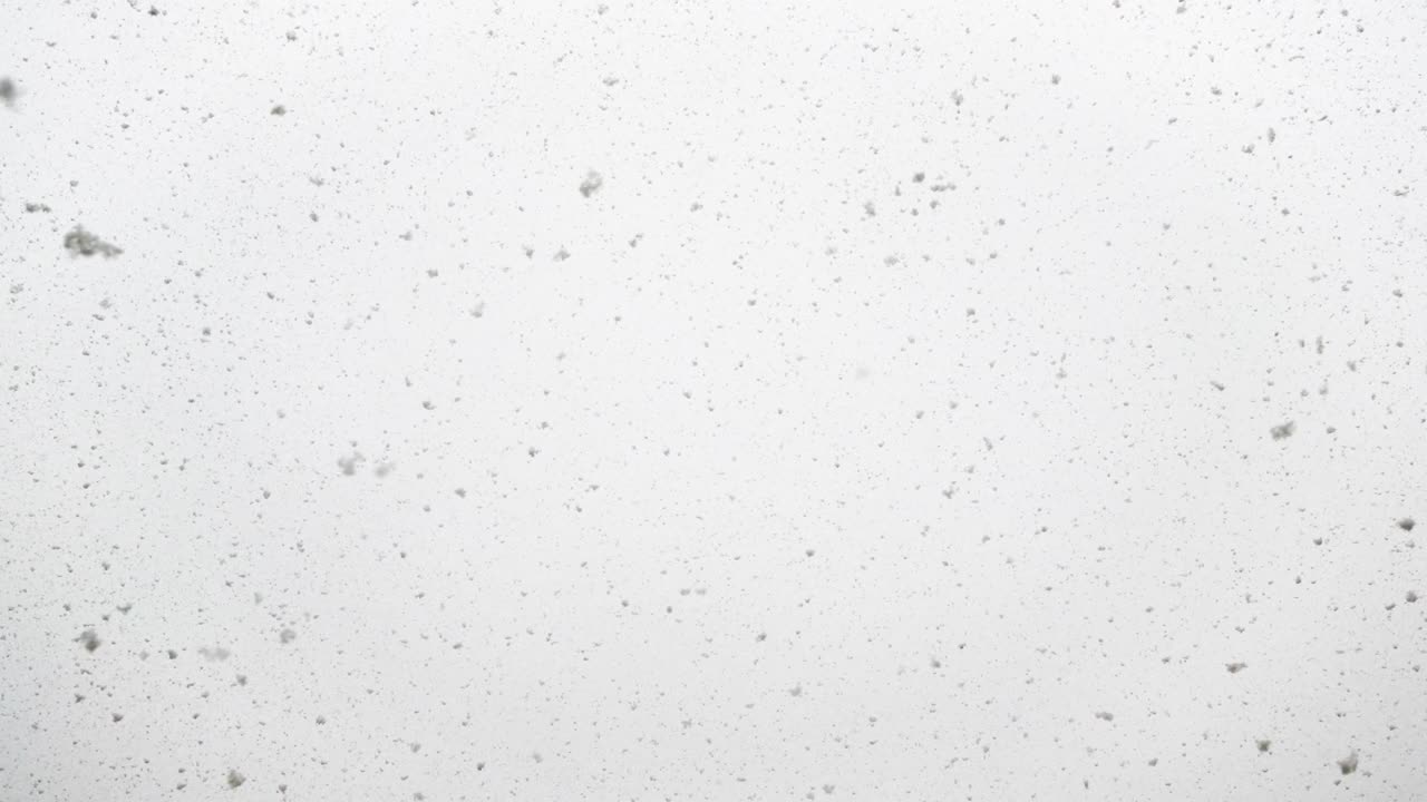 Heavy snow falling down in winter