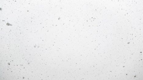 heavy snow falling down in winter