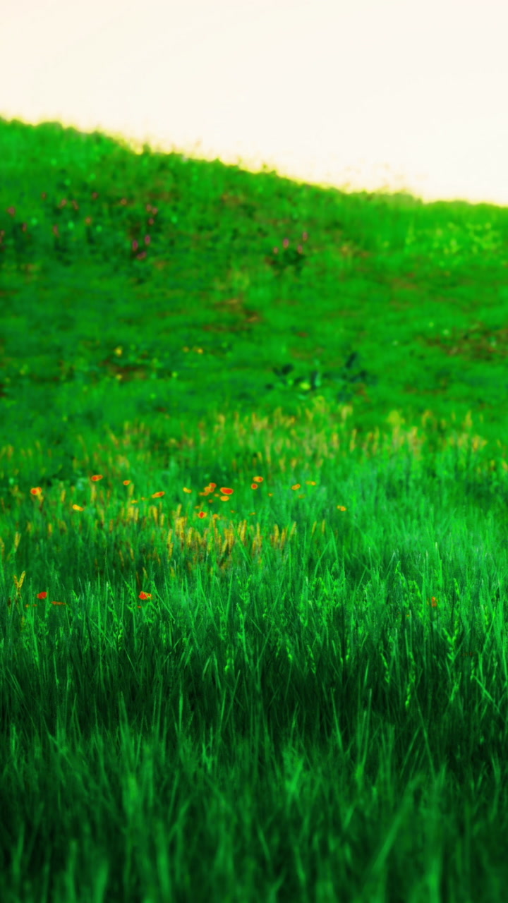 Lush green meadow adorned with wildflowers at golden hours soft light