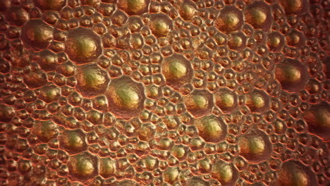 close-up of bubbles