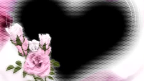 animated moving motion background showing moving flowers rose petals white chrysanthemum