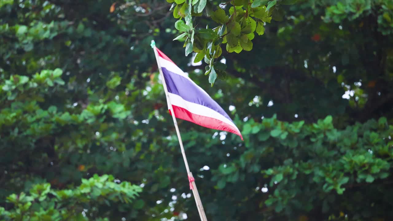 Bandiera thailandese che sventola tra alberi verdi e lussureggianti