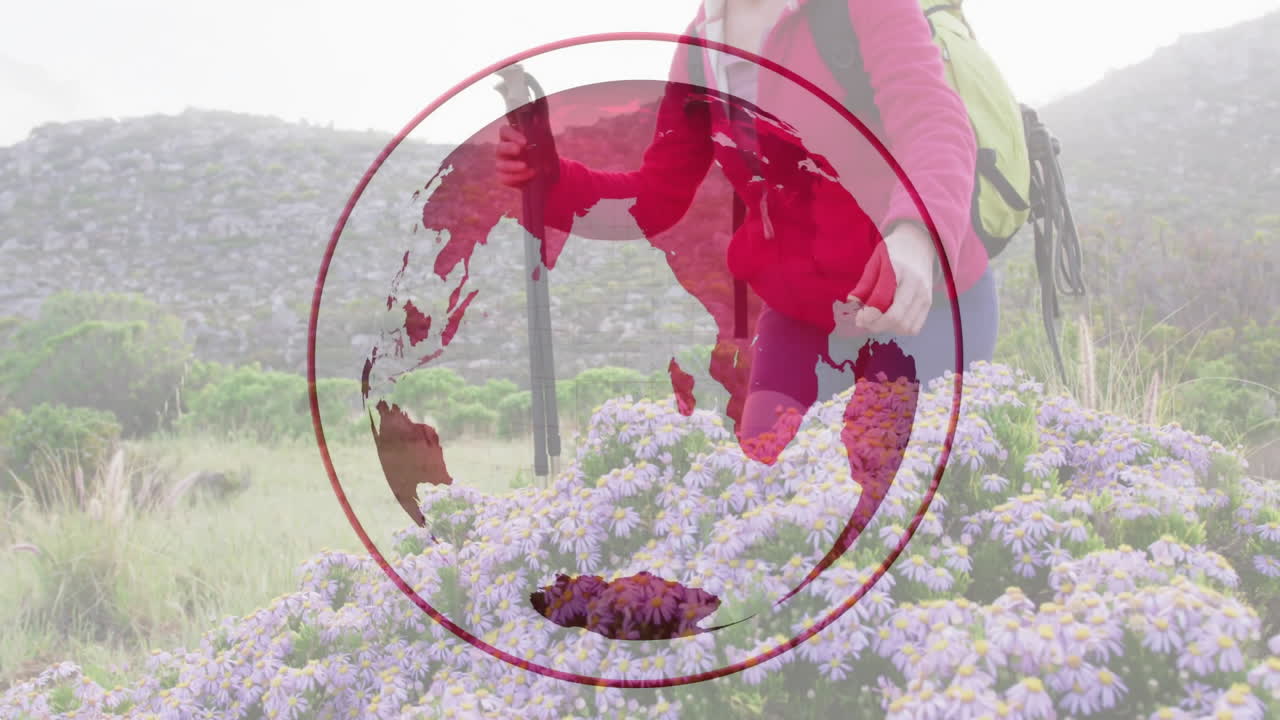 Female hiker kneeling among purple daisies on hill, showcasing red globe tech animation
