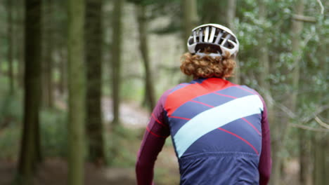 cross-country cyclist descending a forest slope, back view, shot on r3d