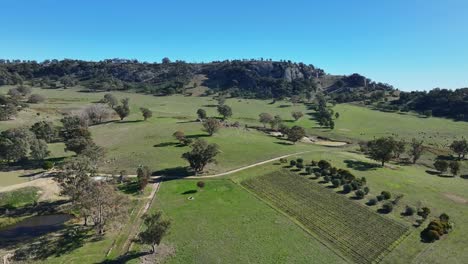 Grandes-Extensiones-De-Tierra-Cultivable-Y-Colinas-En-El-Monte-Tenerife