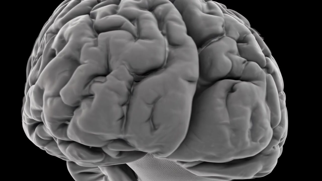3D-gengivelse af en roterende menneskehjerne på sort baggrund