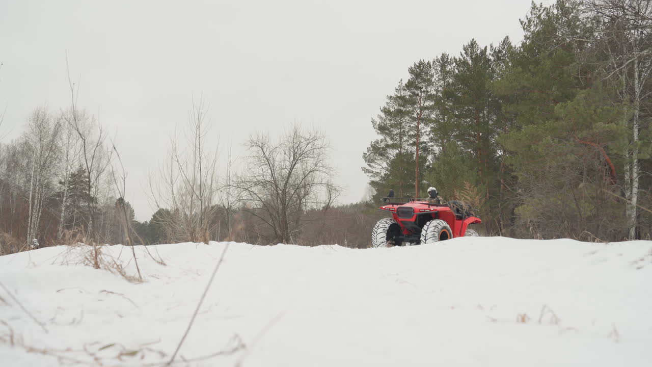 ATV rosso che attraversa un campo aperto innevato, ampia inquadratura di un quad solitario che si muove verso la linea di alberi di pino con tracce di pneumatici visibili. Slancio costante e cielo coperto, atmosfera remota e calma, svago e campagna.