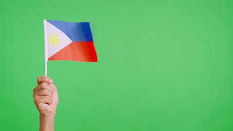 Wind waving a philippine pennant holding by a hand