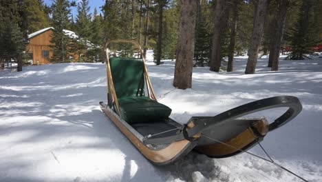 Dog-sled-parked-on-a-trail-along-the-forest-during-the-winter,-tilt