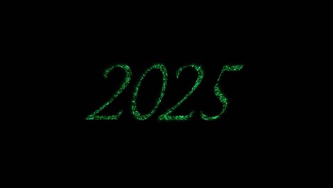 Animation-of-2025-text-in-green-with-new-year-fireworks-exploding-in-night-sky