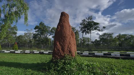 merauke's ant house on the indonesian border, papua new guinea