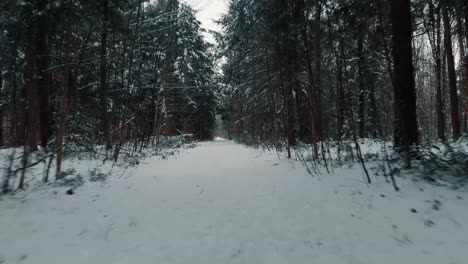 a drone shot flying quickly down a path in winter after a snowfall in canada