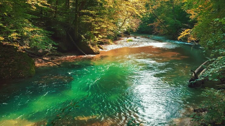 cinemagraph di loop video senza soluzione di continuità del canyon del fiume di montagna taugl in tirolo, austria, vicino al luogo di nascita di mozart salisburgo in una soleggiata giornata estiva