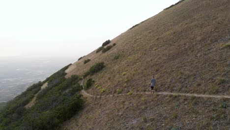 Mujer-Y-Su-Cachorro-Explorando-Y-Haciendo-Senderismo-En-Las-Montañas---Antena