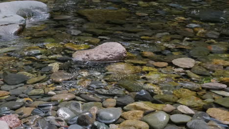 Perfect-View-Of-Cristalline-Stream-Flowing-Over-Rocks-During-Summer-Day---static-shot