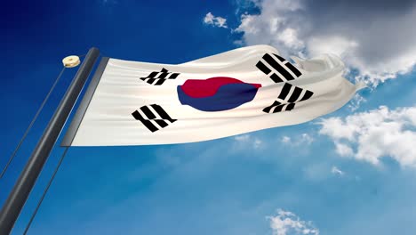 agitando la bandera de corea del sur