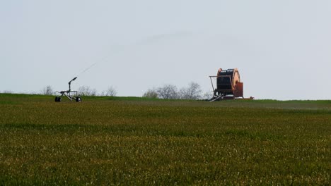 corn field with irrigation system.irrigation of dry land