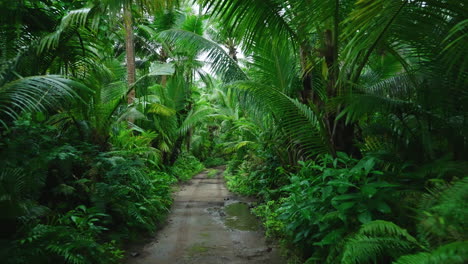 Conduciendo-A-Través-De-Una-Exuberante-Vegetación-Tropical