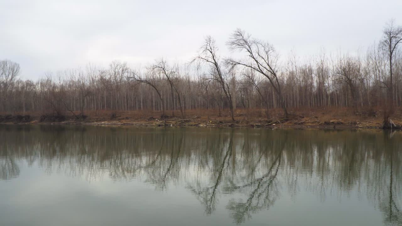 배경에 숲이 있는 강의 아름다운 경치 4k 비디오