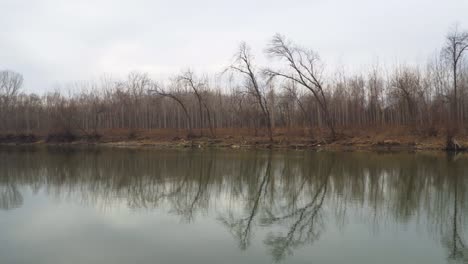 beautiful scenic 4k video of the river with forest in the background