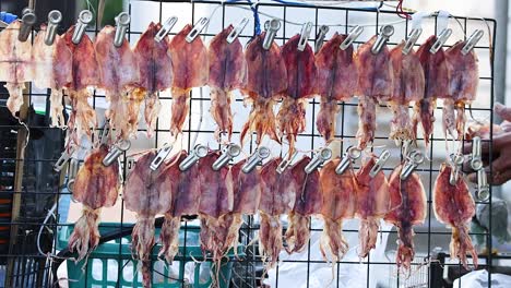 squid drying on racks at a street food stall