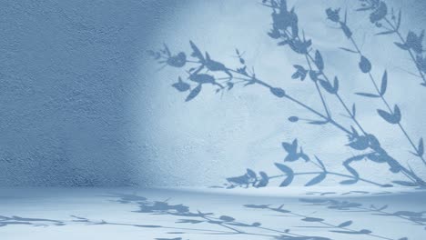 plant tree leaf shadow gently moving by breeze on blue wall background animation loop rendering nature calm relaxing concept background