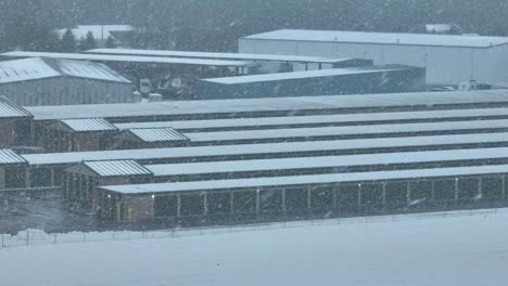 Selbstlagergaragen-Während-Eines-Schneesturms