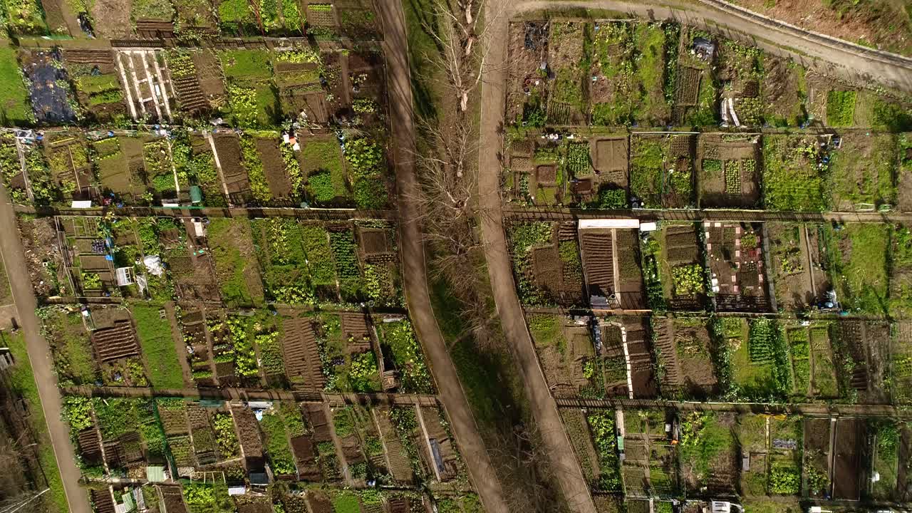 도시 상단에서 볼 수 있는 지역 사회 농업